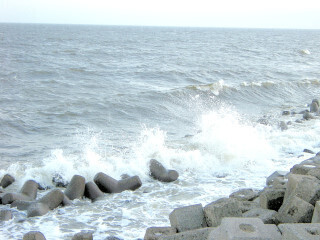 DSCN5401_01.JPG