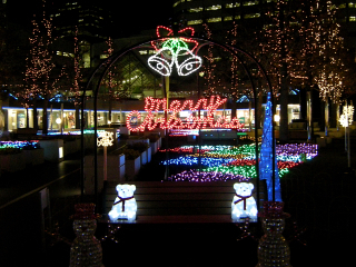 DSCN9643.JPG