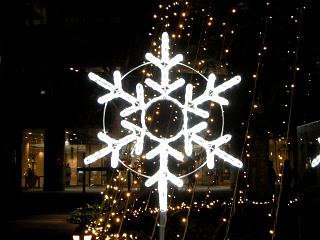 DSCN9649.JPG