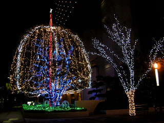 DSCN9678.JPG