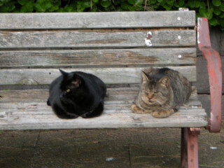DSCN9770_01.JPG