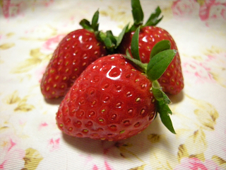 DSCN9830.JPG