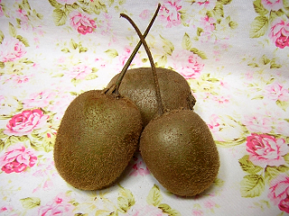 DSCN3042.JPG