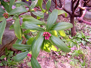 DSCN3144.JPG