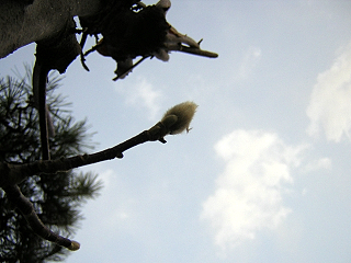 DSCN3147.JPG