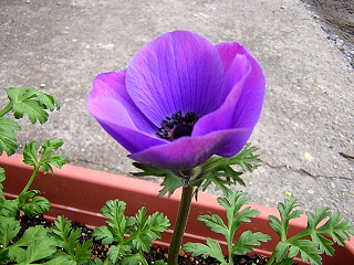 DSCN4053.JPG