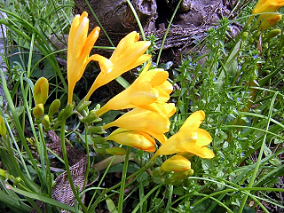 DSCN4703.JPG