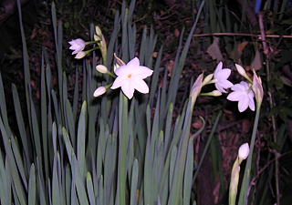 DSCN5631.JPG