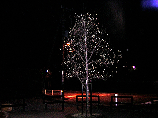 DSCN7206.JPG