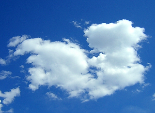 DSCN7244.JPG