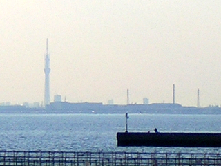 DSCN7251.JPG