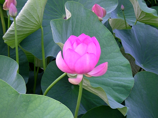 DSCN8819.JPG