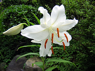 DSCN9175.JPG